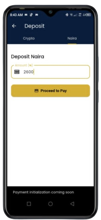 DamatexPay app screen 4